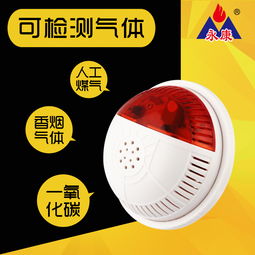 永康牌電化學(xué)一氧化碳煤氣co泄漏報警器產(chǎn)品圖片高清大圖